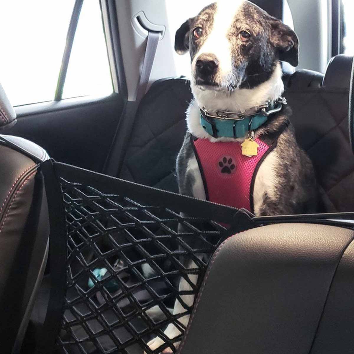 Pet Dog Rear Seat Car Fence Do - огляд і ціна Partition Screen Divider